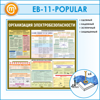 ����� ������������ ������������������� (EB-11-POPULAR)